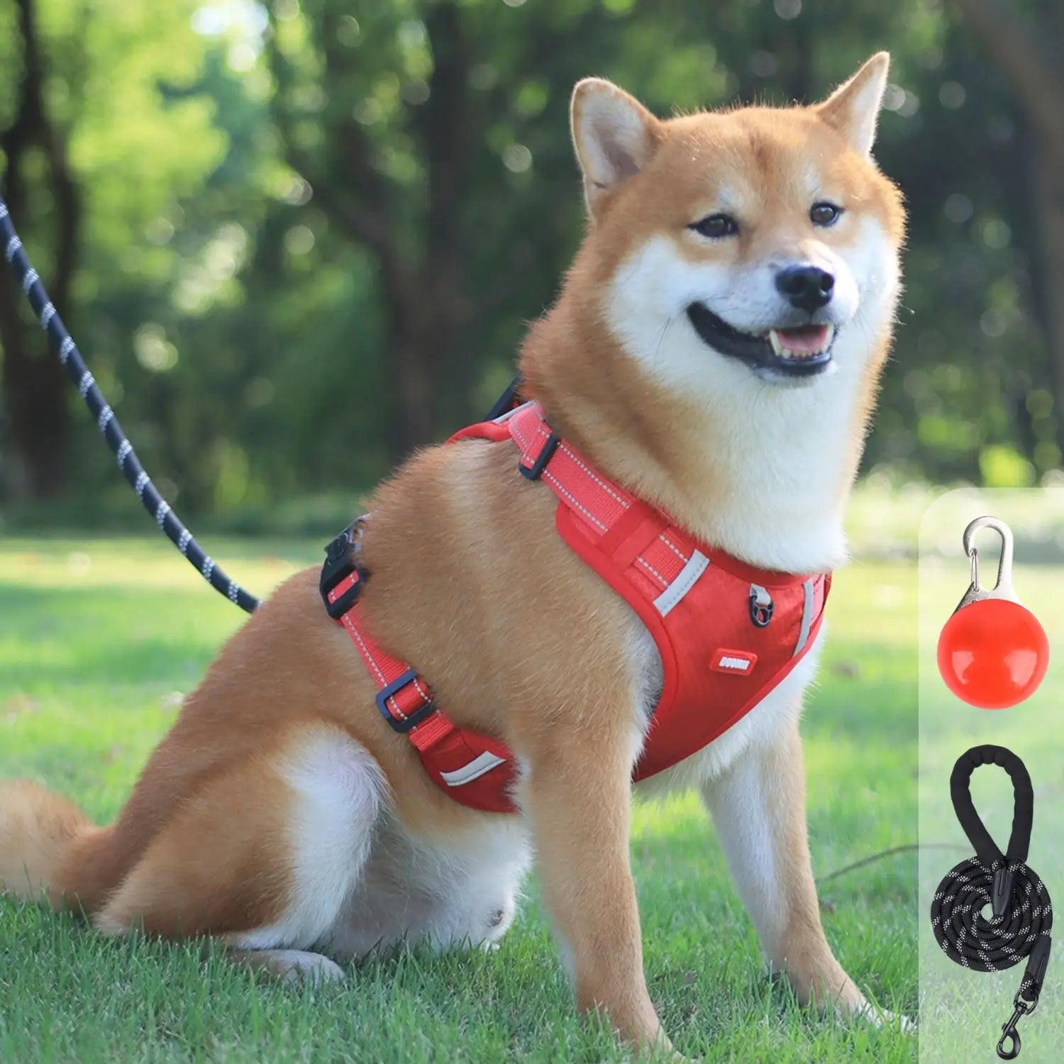 hondenharnas rood design met led lichtje en riem